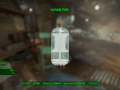 Fallout4 2015-11-19 22-13-50-62.png